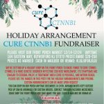Holiday fundraiser rare disease