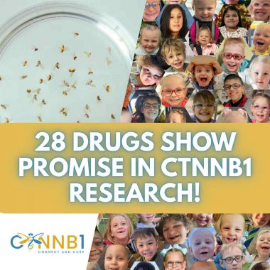 CTNNB1 Drug Screen Update