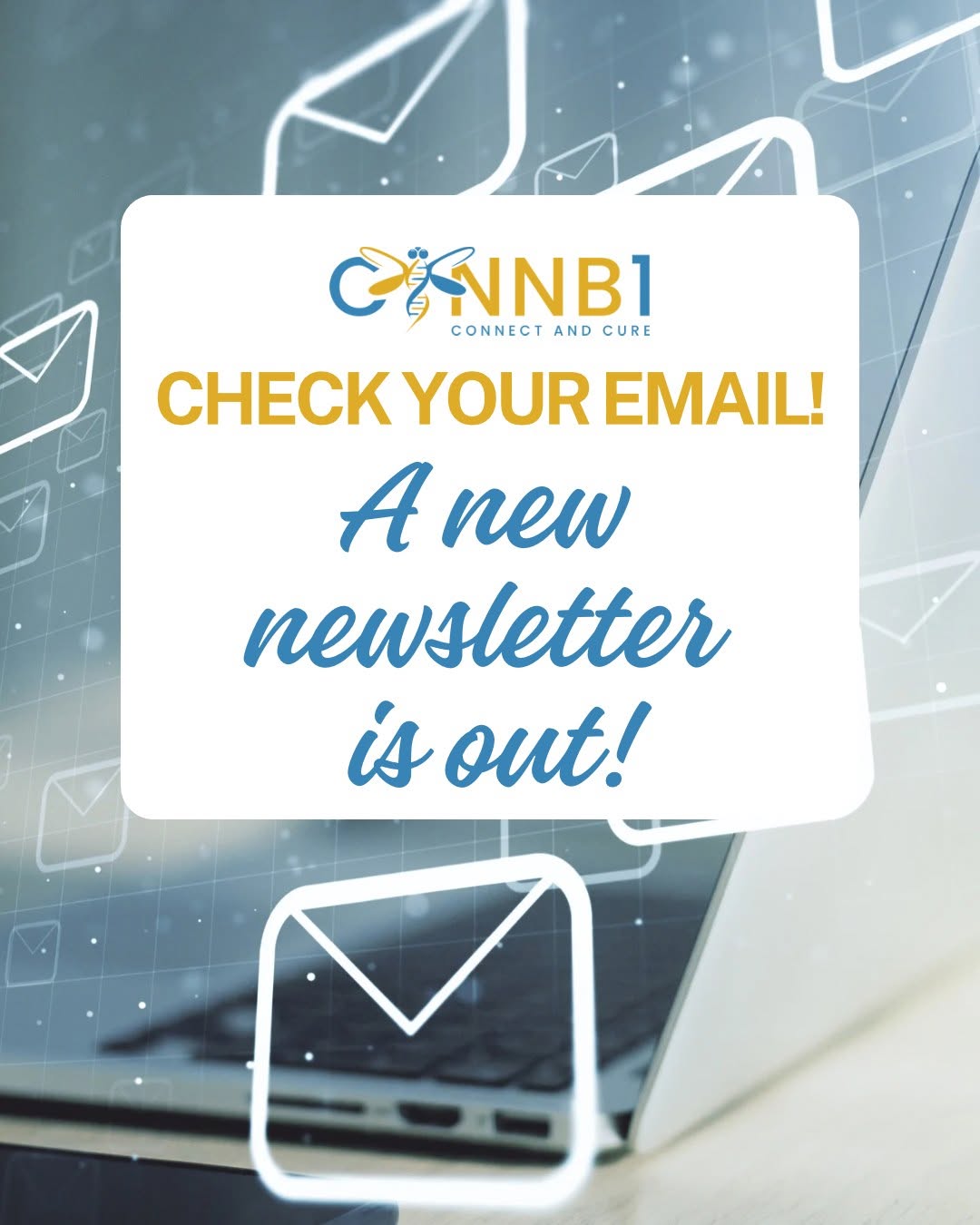 You are currently viewing May 2026 Newsletter